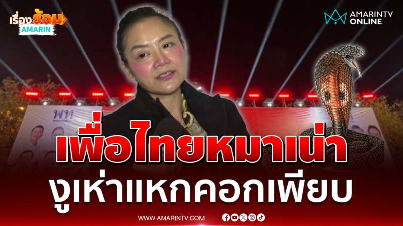 ดร.มัลลิกาเทียบการเมืองเหมือนหมาเน่า เห็บกำลังหนี