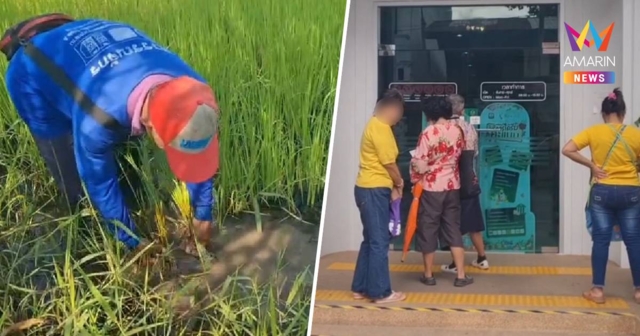 ชาวนาโคราชผิดหวัง เงินไร่ละพันที่หวังจะได้ 10,000บาทซื้อปุ๋ยยังไม่เข้า