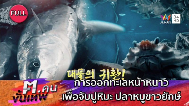 การออกทะเลหน้าหนาวเพื่อจับปูหิมะ ปลาหมูขาวยักษ์ | ฅ.คนขั้นเทพ