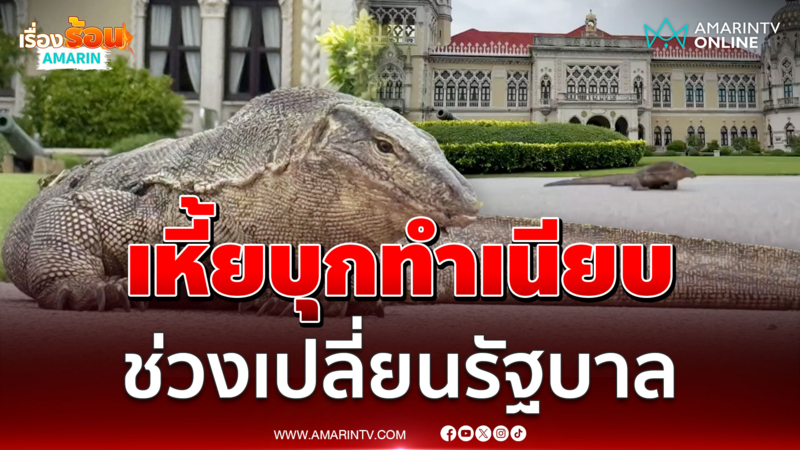 เหี้ยบุกทำเนียบ ช่วงเปลี่ยนรัฐบาล