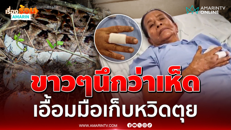 เอื้อมมือเก็บเห็ดแต่โดนจิ้มทีเดียวหวิดดับ