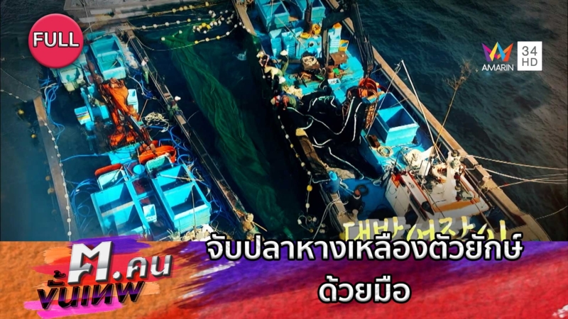 ลูกเรือที่ต้องเผชิญกับการจับปลาหางเหลืองตัวยักษ์ด้วยมือ | ฅ.คนขั้นเทพ