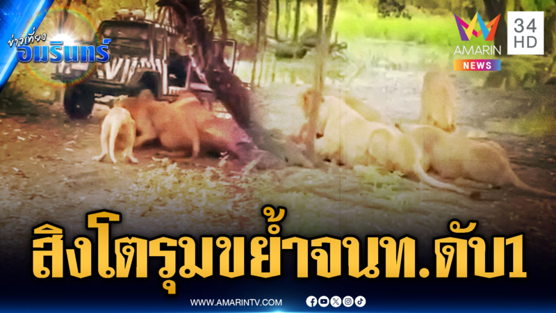ด่วน! สิงโตรุมกัดเจ้าหน้าที่สวนสัตว์ดังกลางกรุงเสียชีวิต