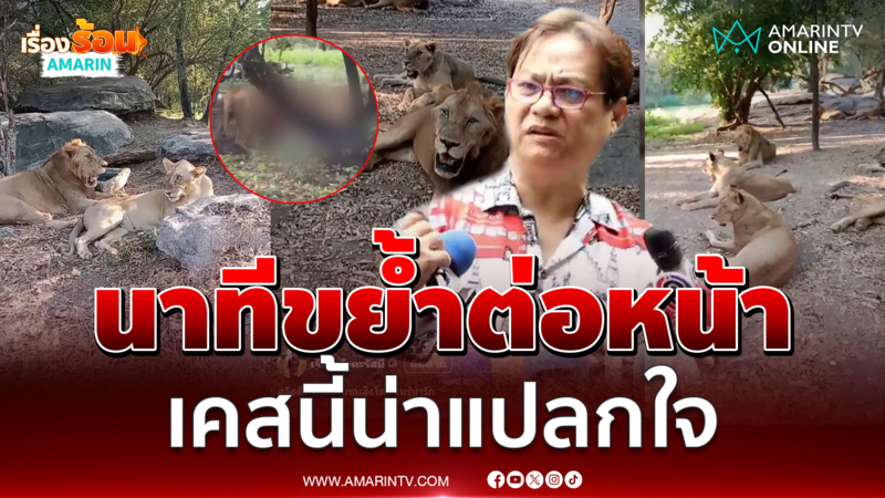 หมอธวัชชัย เล่านาทีระทึกสิงโตเดินมาขย้ำต่อหน้า