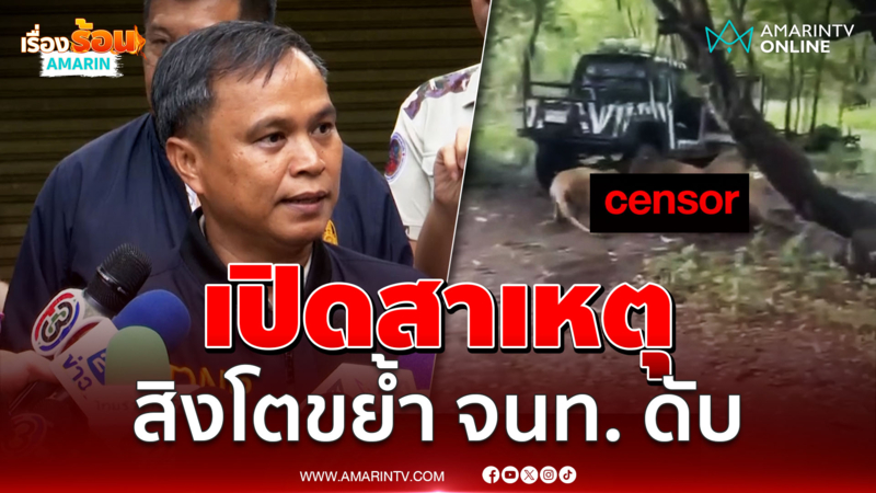 เปิดสาเหตุ สิงโตขย้ำ จนท.ดับกลางสวนสัตว์ สรุปแล้วลงรถทำไม ?