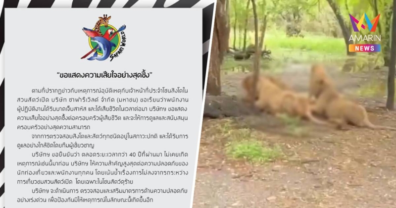 ซาฟารีเวิลด์ ออกแถลงการณ์ ขอแสดงความเสียใจ กรณีสิงโตทำร้ายเจ้าหน้าที่