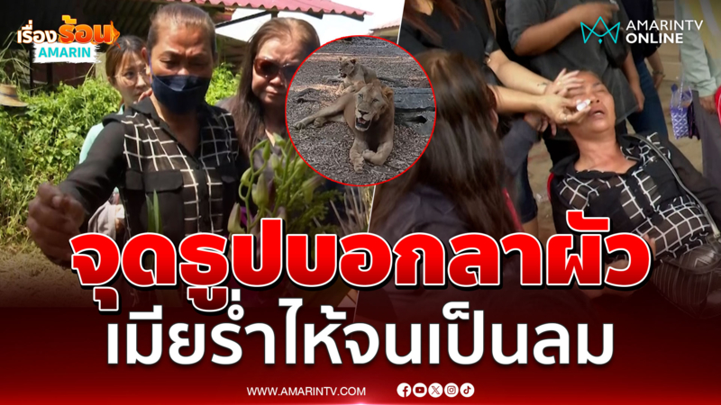 เมีย "นายเจียน" เหยื่อสิงโตขย้ำ จุดธูปขอให้ผัว ร่ำไห้จนเป็นลม