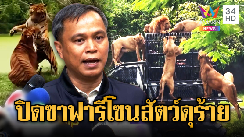 กรมอุทยานฯ สั่งปิดโซนสัตว์ดุร้ายซาฟารี หลังสิงโตขย้ำ