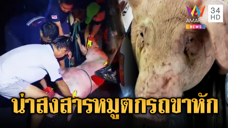 หมูตกรถขาหัก คนรุมช่วยตั้งชื่อบุญหล่น