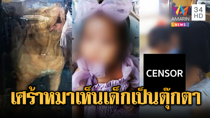 เห็นเด็กเป็นตุ๊กตา! “พิตบุลล์”ขย้ำเด็ก 2 เดือนดับ