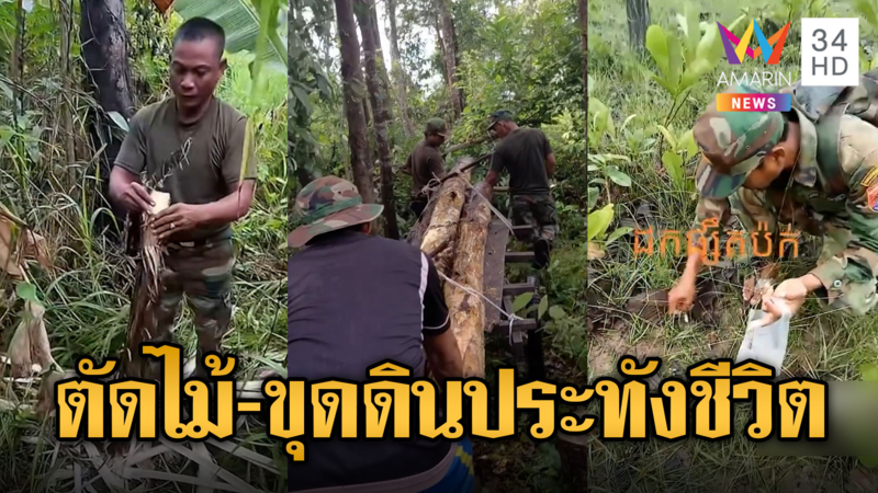 สุดอนาถ! ทหารอดอยากไม่เลิก ตัดไม้ขายไม่หยุด
