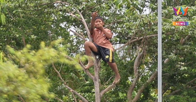 เปิดภาพนาทีเด็กเขมรปีนต้นไม้ชูนิ้วกลางให้นักข่าวและทหารไทย