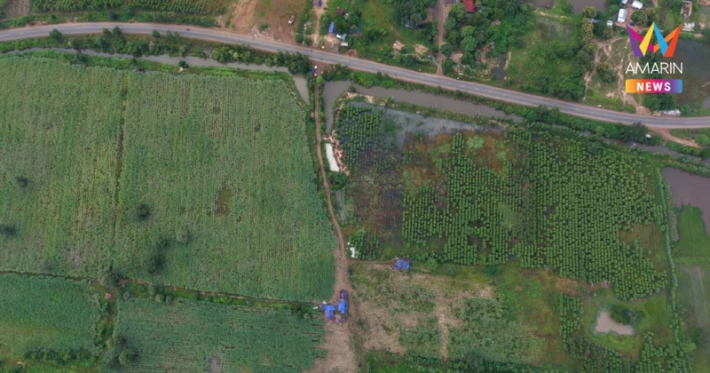 เขมรยังไม่ตื่น! ชายแดนบ้านหนองจาน-หนองหญ้าแก้ว ไร้ม็อบประชิดรั้ว