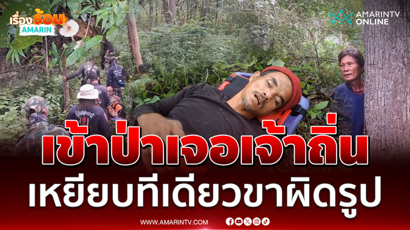 เจ้าถิ่นโหดเหยียบคนหาเห็ดป่าขาผิดรูป