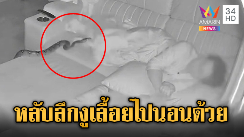 สาวหลับลึก งูเข้าบ้านไปนอนด้วย ไม่รู้ตัว