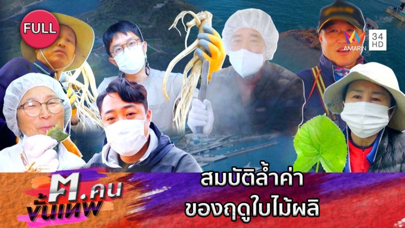 สมบัติล้ำค่าของฤดูใบไม้ผลิ | ฅ.คนขั้นเทพ