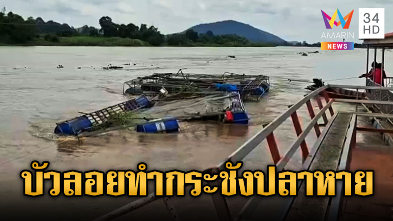 บัวลอยทำพิษ กระชังปลาหลุดไกล 10 กม.