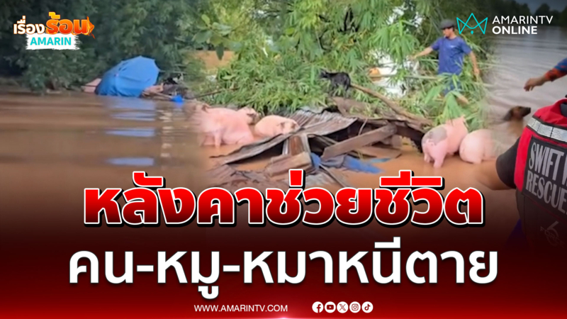 น้ำป่าทะลักอุตรดิตถ์อย่างไง คน-หมู-หมาหนีตาย