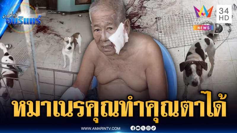 หมาเนรคุณ! ขย้ำตา 83 เละตุ้มเป๊ะ