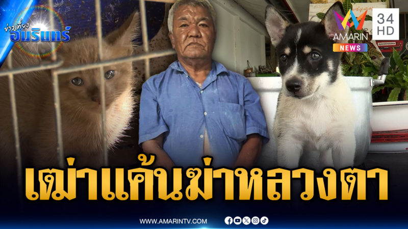 แค่เรื่องหมาแมว! เฒ่าแค้นสะสมฆ่าโหดหลวงตา