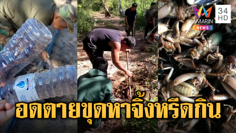 ทหารเขมรอดอยาก หาจิ้งหรีดกินประทังชีวิต