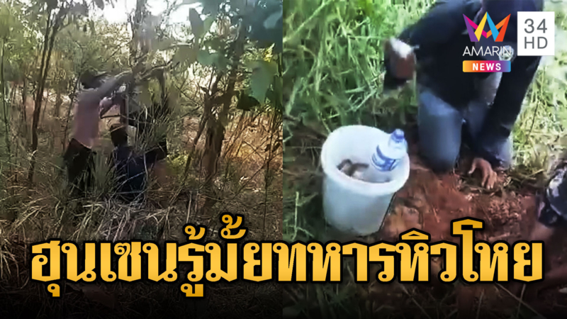 อาหารฐานหมด ทหารเขมรขุดหนู-แหย่ไข่มดแดง