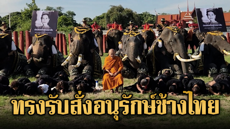 ปางช้างอยุธยาน้อมรำลึกพระมหากรุณาธิคุณ สมเด็จพระพันปีหลวง