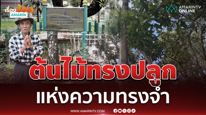 ต้นไม้ทรงปลูกแห่งความทรงจำชาวไทยทั่วประเทศ