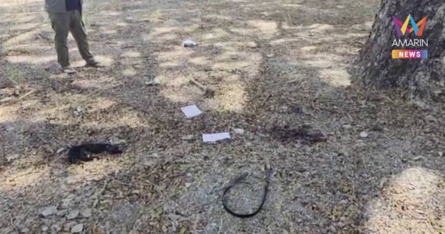 สาวสองถูกคู่รักลวงข่มขืนฆ่าชิงทรัพย์ ใช้ท่อนไม้ตีหัวจนเสียชีวิตกลาง