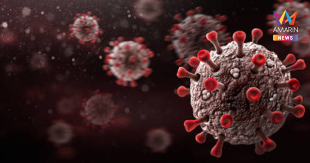 รัฐบาลสั่งคัดกรองเข้ม! เฝ้าระวัง ไวรัสนิปาห์ หลังอินเดียพบผู้ป่วยเพิ่ม