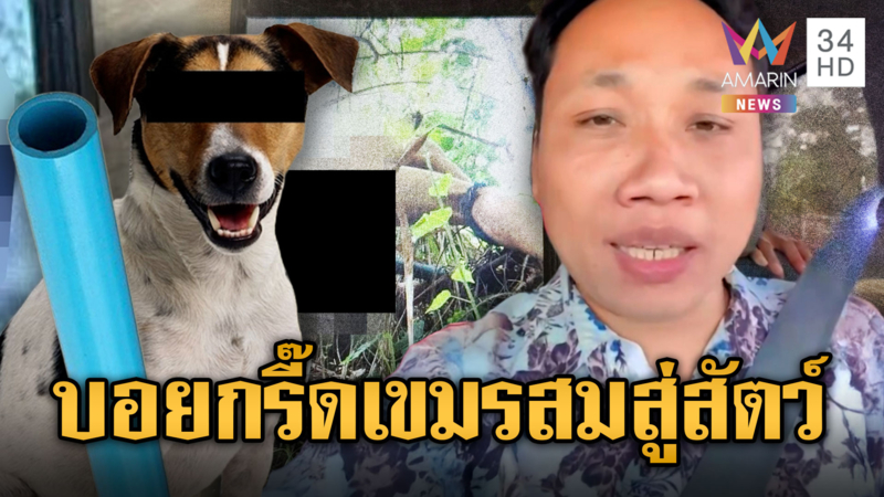 บักบอยลั่น ไทยถูกปั่น ภาพทหารมีสัมพันธ์สวาทน้องหมา