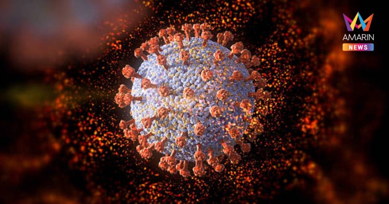 กรมการแพทย์ ย้ำ ยังไม่พบติดเชื้อ "ไวรัสนิปาห์" ในไทย