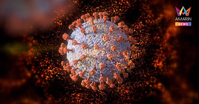 กรมการแพทย์ ย้ำ ยังไม่พบติดเชื้อ 