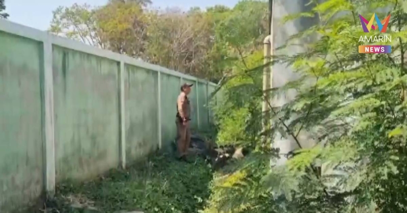 นักเรียน ผู้ปกครองผวา ลุงโชว์ขืนใจหมาหลังโรงเรียน