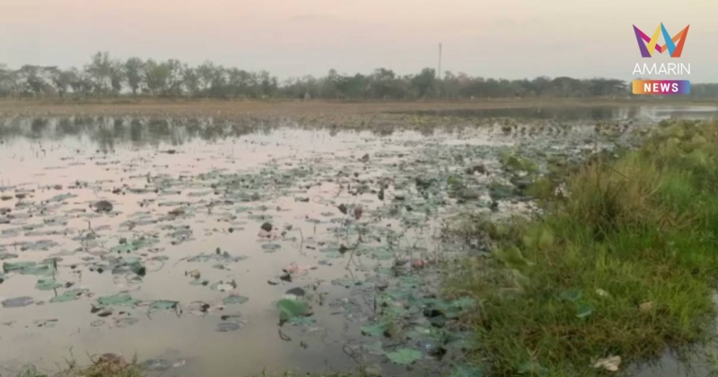 สลด!วัยรุ่นพายเรือเล่นชมดอกบัว เลียนแบบ “ลิซ่า”เรือคว่ำดับ 1