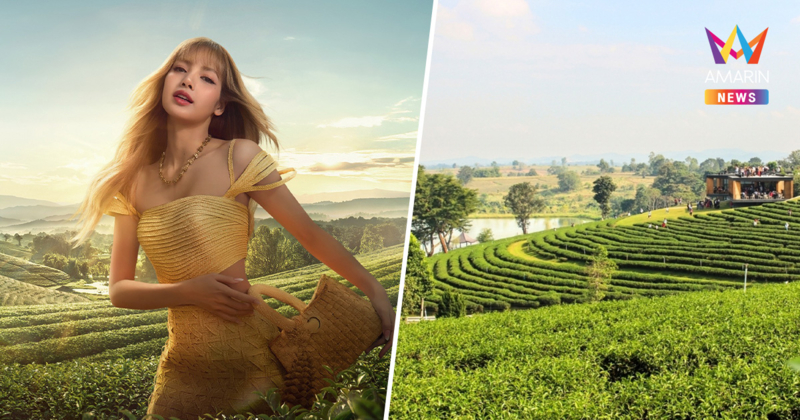 ปักหมุดตามรอย "ลิซ่า" พาเยือนไร่ชาฉุยฟง จ.เชียงราย รูปล่าสุดออร่าจับ