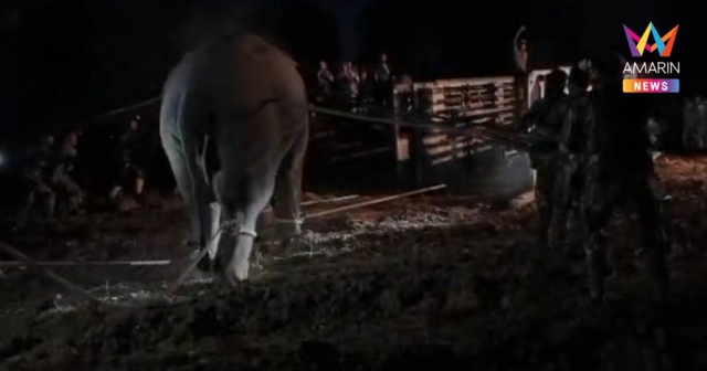 กรมอุทยานฯ ชี้แจง กรณี 