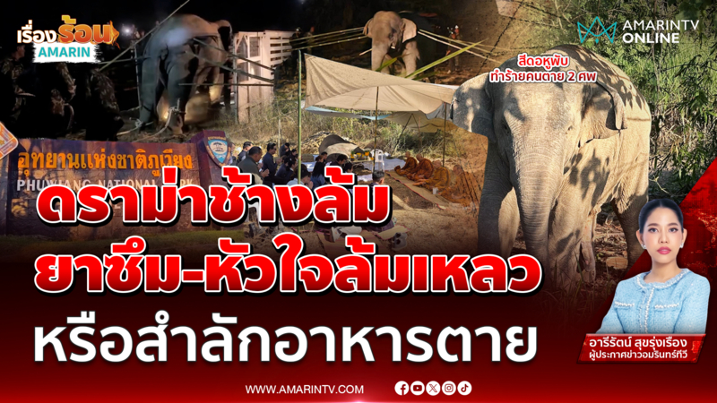 ใครบกพร่อง ทำ “พลายหูพับ” ช็อกตายคารถ 