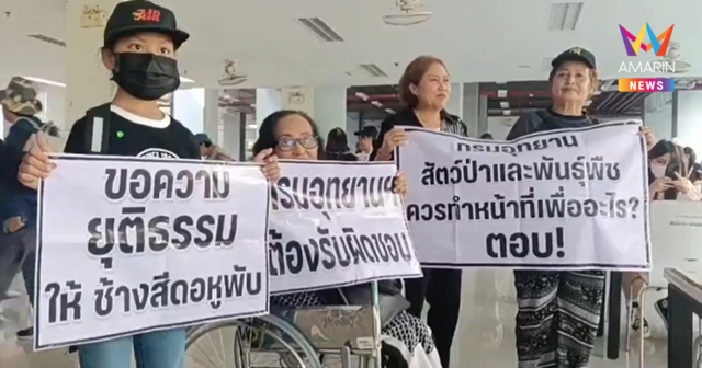 กลุ่มคนรักสัตว์สุดทน! รวมพลทวงความยุติธรรมให้ช้างป่า 