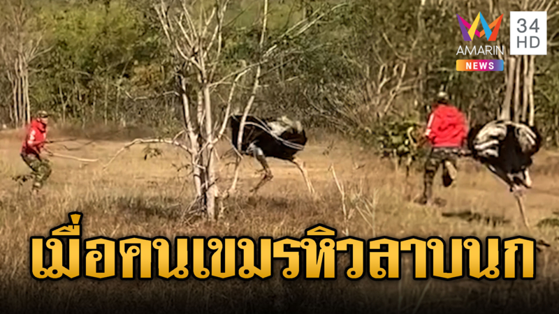 เขมรหิวลาบ! บุกขโมยนกกระจอกเทศ-เจอจิก