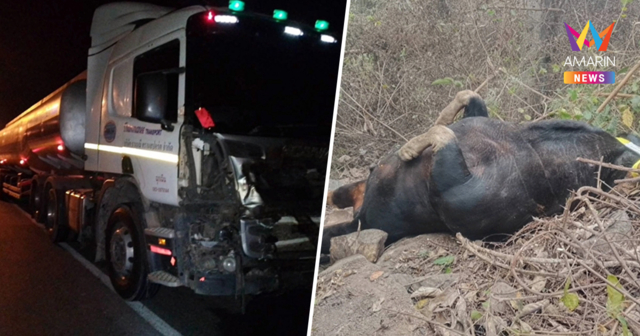 สลดรับอรุณ! รถบรรทุกน้ำมันพุ่งชน 