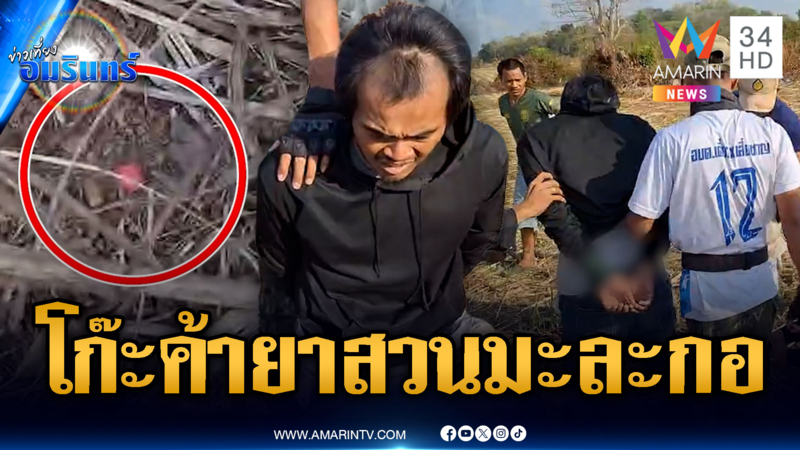 ไล่จับระทึกพ่อค้ายา ปาของกลางทิ้งสวนมะละกอ