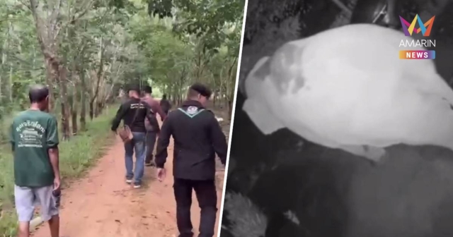 สุดเวทนา! ช้างป่ากระทืบชาวบ้านดับ