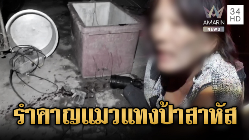 หนุ่มโมโหป้าให้อาหารแมวเสียงดังคว้ามีดแทงเจ็บ