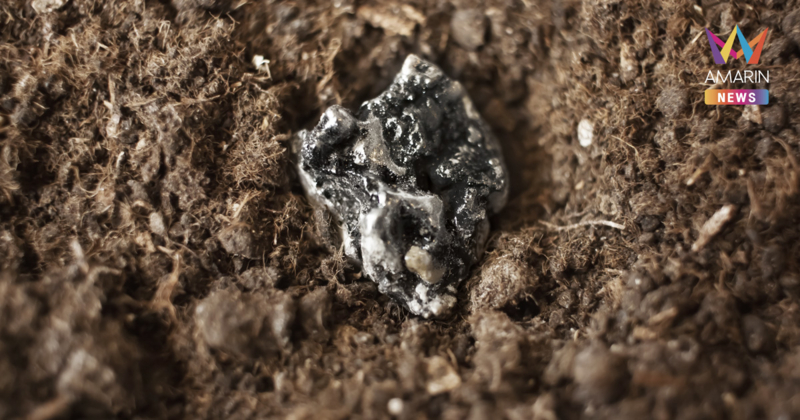 แร่แรร์เอิร์ธ (Rare Earth) คืออะไร ทำไมคนจับตาหลังไทยเซ็น MOU กับสหรัฐ