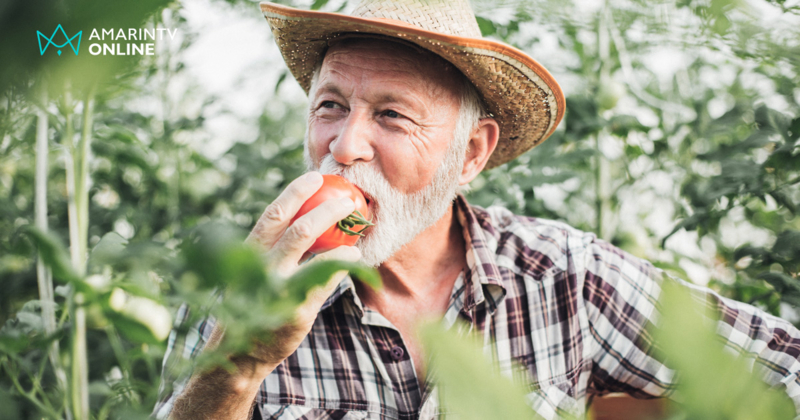 ง่ายๆ วันละผล เคล็ดลับธรรมชาติ กินมะเขือเทศลดความเสี่ยงความดันโลหิตสูง