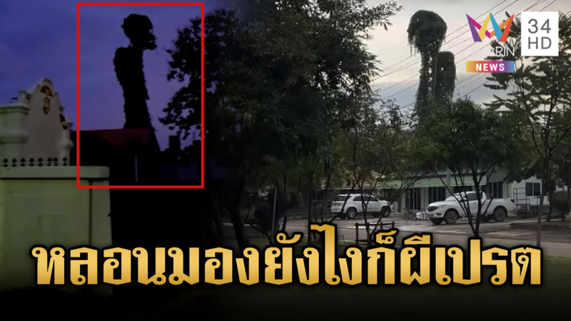 มองยังไงก็เปรต ต้นไม้อสูรกายโผล่กลางสุสาน