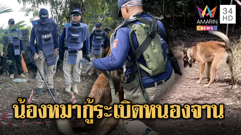 TMAC เดินหน้าภาระกิจนำน้องหมาหาระเบิด