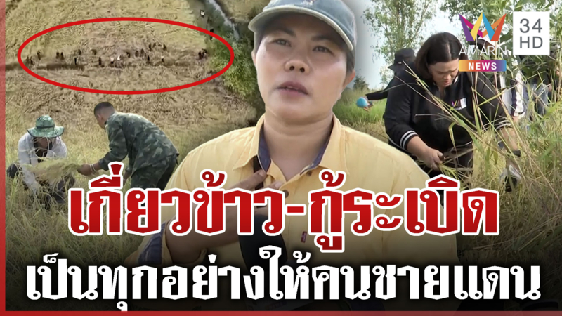 ชาวบ้านซึ้งใจทหารช่วยเกี่ยวข้าว แม้ภารกิจเยอะแต่ยังสละเวลา