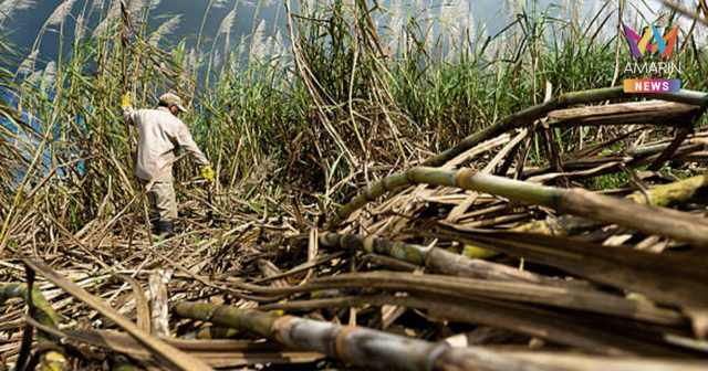 วิกฤตน้ำเชื่อมไทย! จีนสั่งระงับนำเข้า หลังพบ 10 โรงงานไม่ผ่านมาตรฐาน